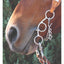 Professional's Choice Futurity BIT 5.5" Snaffle featuring a stainless steel design with a curved shank and three-ring configuration. Shown on a horse with a metal curb chain and braided leather reins, this western training bit offers versatile leverage and precise control. Perfect for performance horses and equestrian enthusiasts looking for high-quality tack for effective communication. Durable, sleek, and essential for your western riding gear collection.