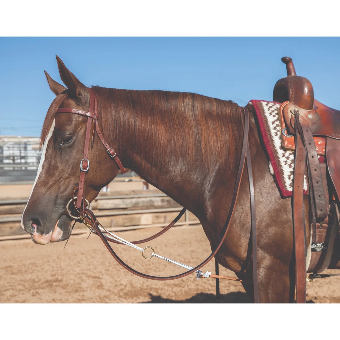 Professional's Choice Headsetter Yoyo Bungee Cord Center Snap Nylon Brown AD8068 shown on a chestnut horse in a western riding arena. This essential equestrian training aid encourages proper head carriage using a durable brown bungee cord and nylon construction. Ideal for Western disciplines, the headsetter attaches easily to the bit and saddle, offering gentle pressure for better control and performance.