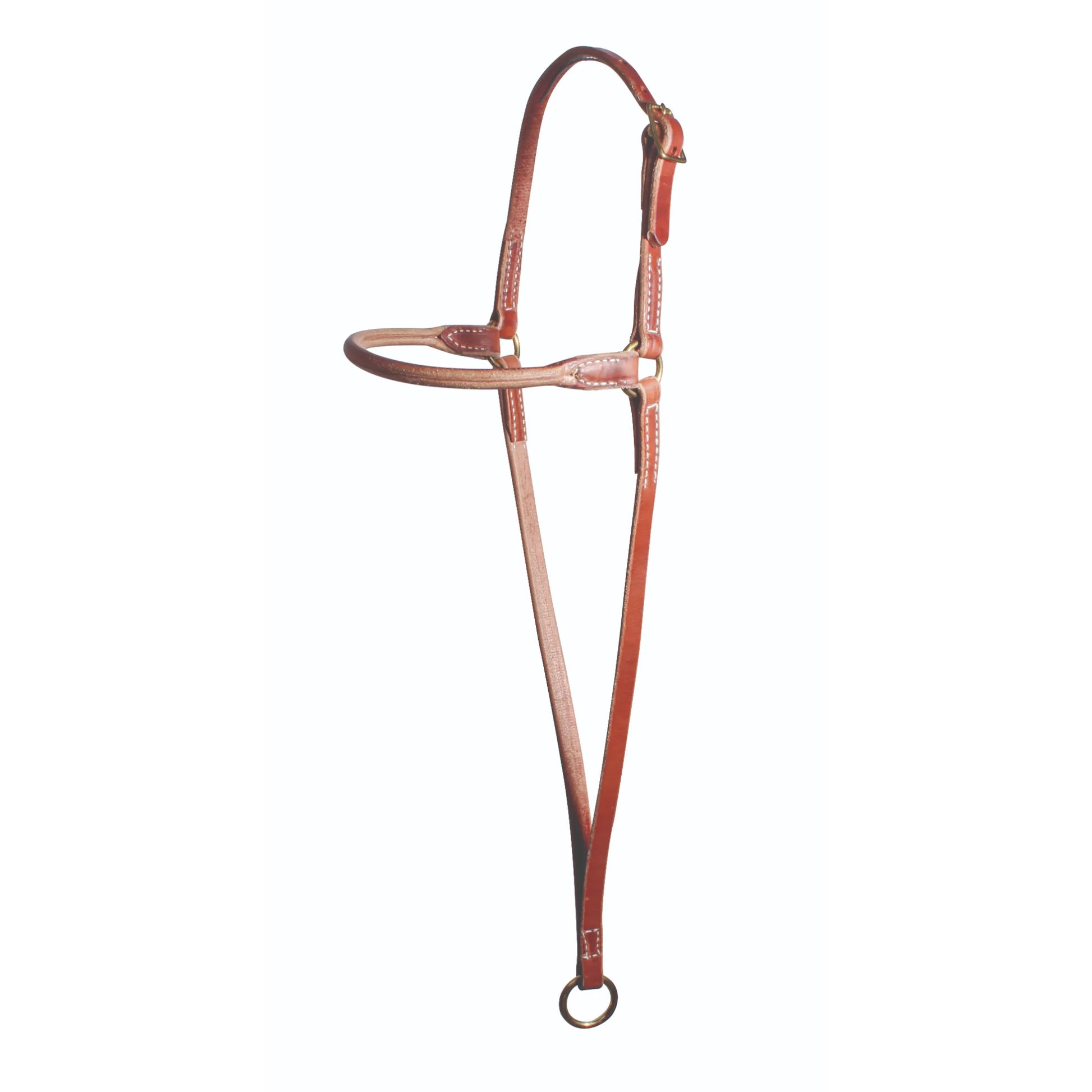 Professional's Choice Leather War Bonnet (8018HL) in rich brown. This high-quality western horse training gear features durable leather with white contrast stitching and brass hardware. It includes an adjustable headstall, a rounded noseband, and a long tie-down strap with a solid brass ring at the bottom. An essential piece of professional horse tack for improved control and training, perfect for western performance horses.