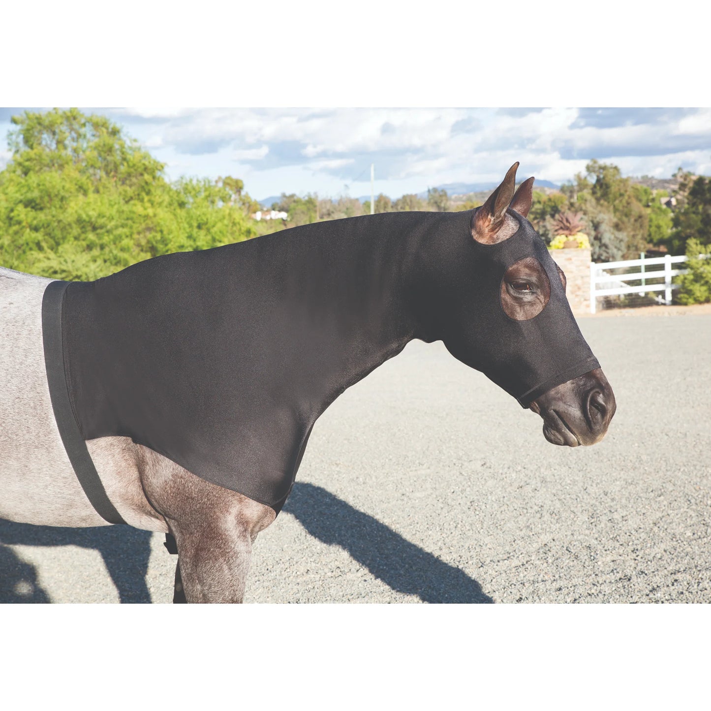Professional's Choice 400g Heavyweight Lycra Horse Hoodie Sleazy - Black - Size Large (78"-82")