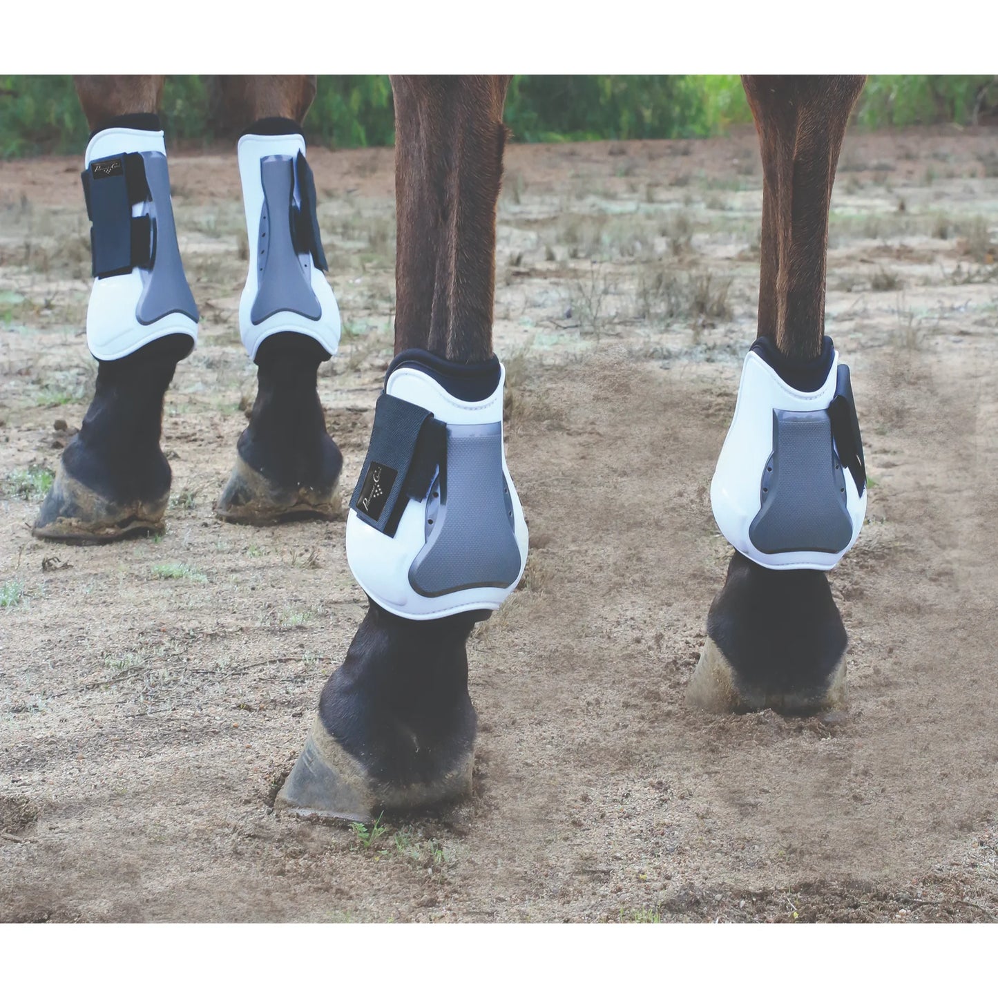 Professional's Choice Open Tendon Boots - Durable Injury Prevention Horse Leg Boots for Jumping