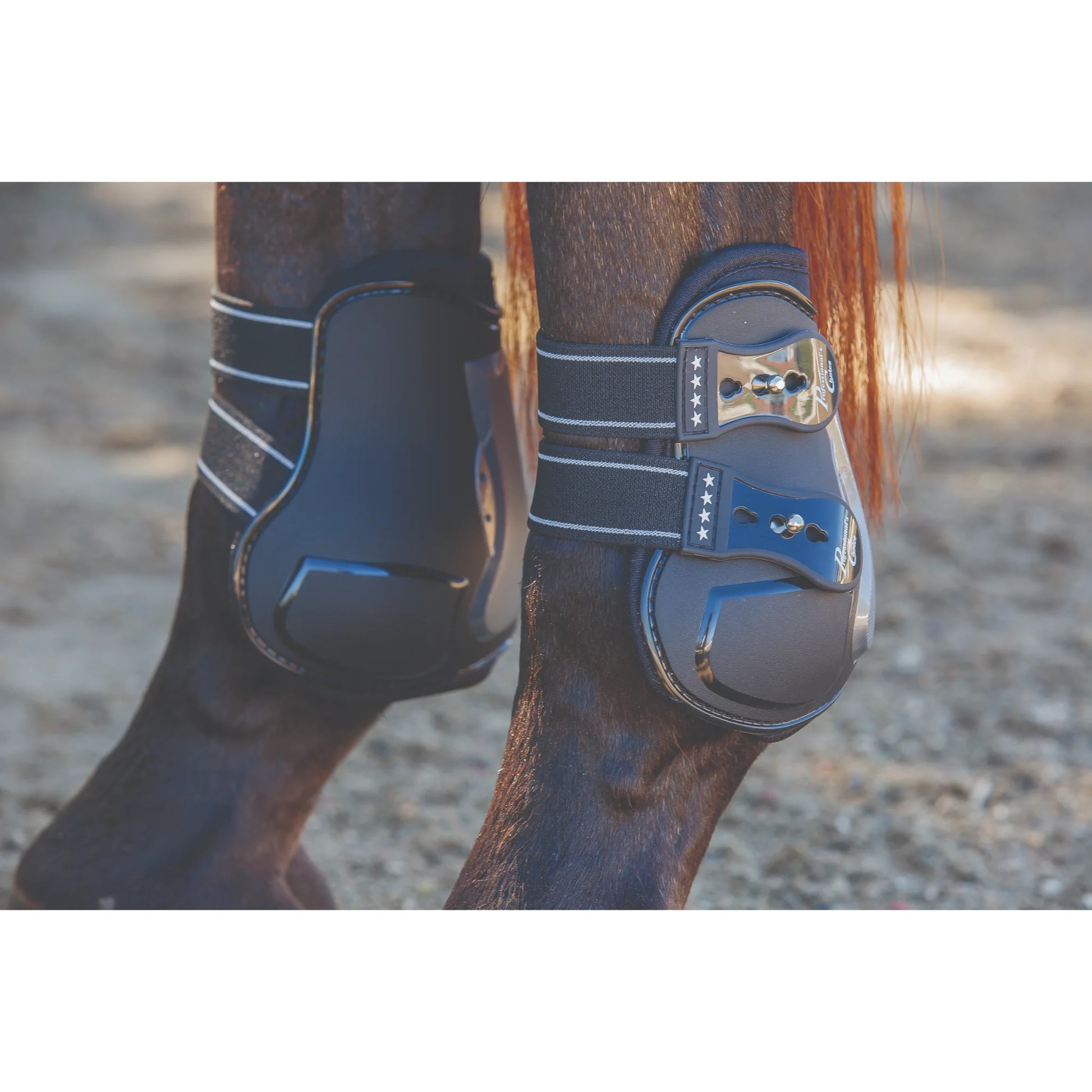 Professional's Choice Open Tendon Boots - Durable Injury Prevention Horse Leg Boots for Jumping