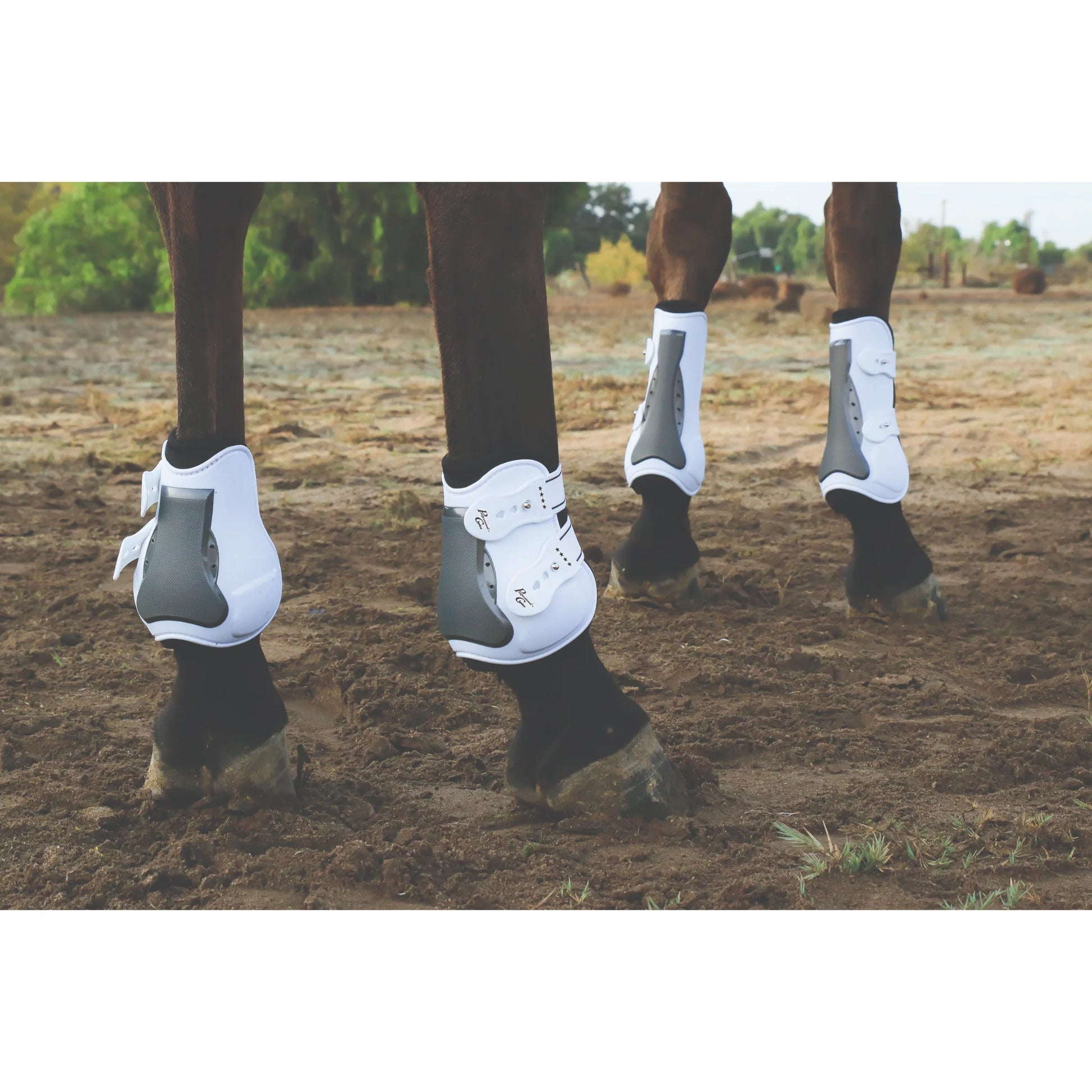 Professional's Choice Open Tendon Boots - Durable Injury Prevention Horse Leg Boots for Jumping