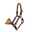 Professional's Choice Bronc Halter Hand-Tooled Noseband Average