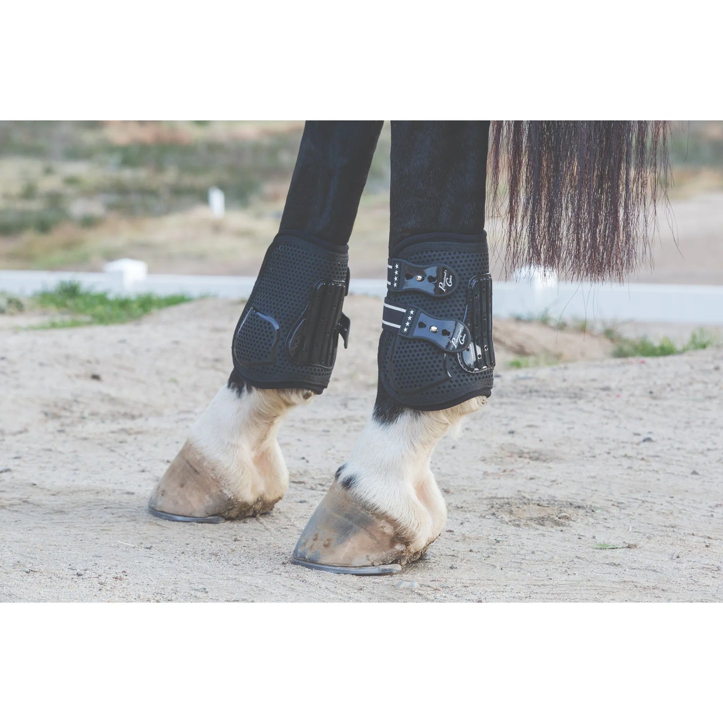 Professional's Choice Pro Performance Horse Boots in black, providing elite support and protection on a horse's hind legs. These breathable, mesh-lined boots feature impact-resistant strike plates and secure quick-fasten straps. Ideal for jumping, dressage, or trail riding, these durable equestrian leg boots offer a comfortable fit over white stockings and hooves on sandy terrain. Essential horse riding equipment for injury prevention and performance.