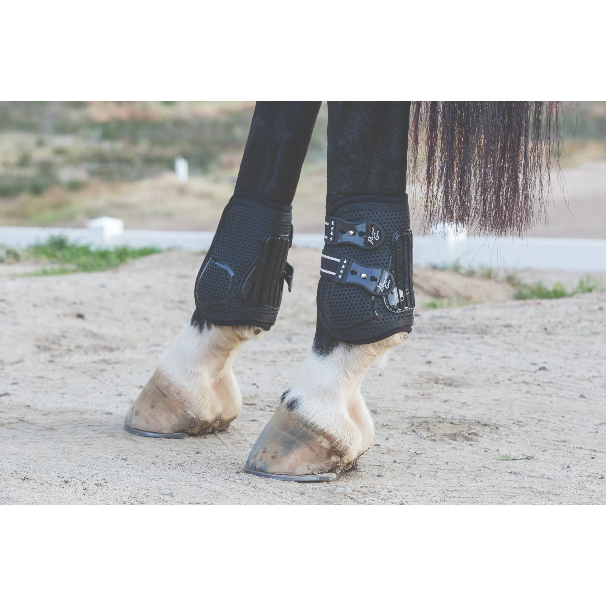 Professional's Choice Pro Performance Horse Boots in black, providing elite support and protection on a horse's hind legs. These breathable, mesh-lined boots feature impact-resistant strike plates and secure quick-fasten straps. Ideal for jumping, dressage, or trail riding, these durable equestrian leg boots offer a comfortable fit over white stockings and hooves on sandy terrain. Essential horse riding equipment for injury prevention and performance.