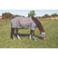 Professional's Choice Rip-Stop Fly Sheet in silver mesh on a grazing bay horse. This durable horse fly sheet provides essential protection from insects and UV rays. Features include black adjustable belly straps and reinforced trim for a secure fit. Shown with a matching fly mask and fly boots for complete equine protection in a lush green pasture. Ideal for horse owners seeking breathable, tear-resistant turnout gear for summer.
