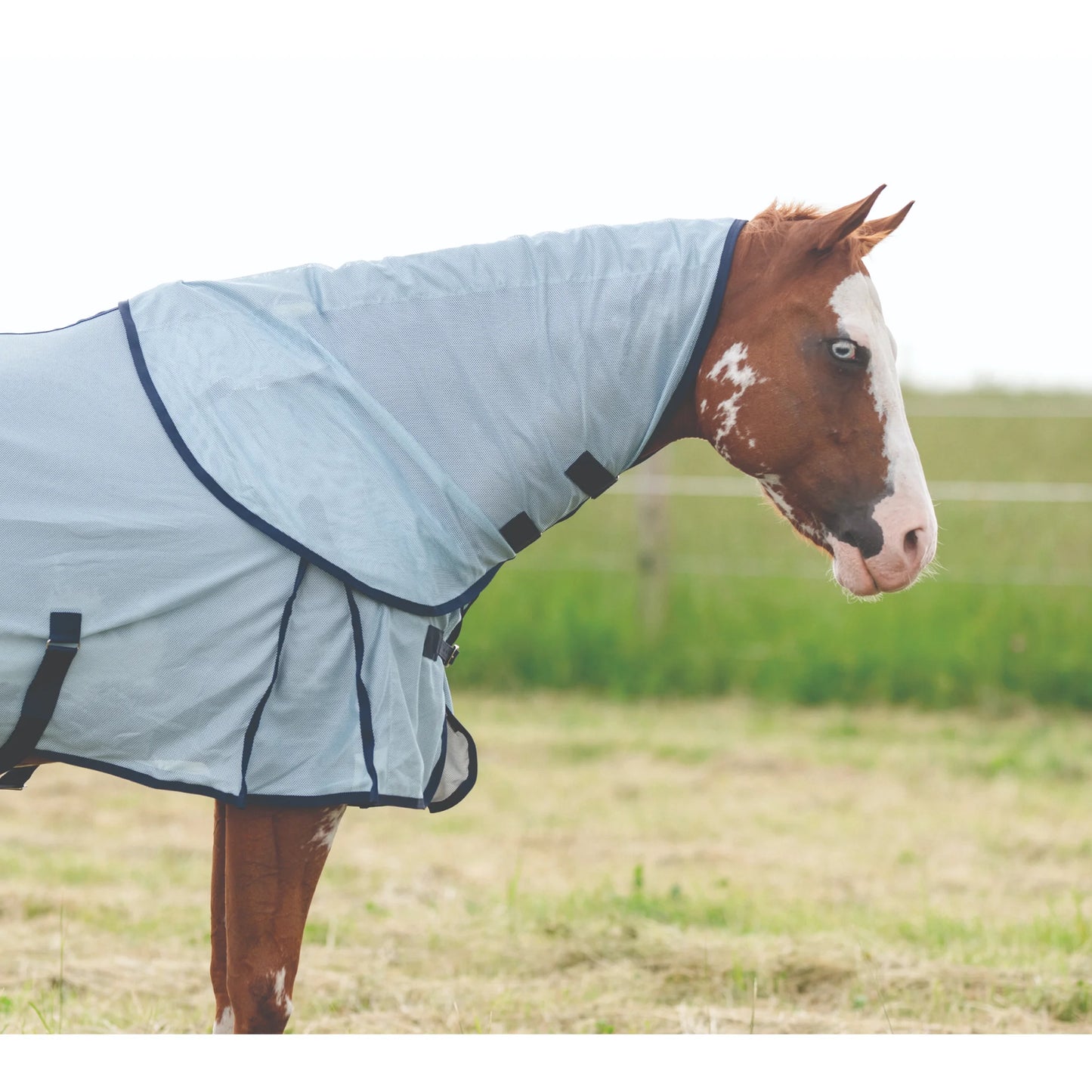 Professional's Choice Sky Blue Theramic Fly Neck - Ceramic Therapy Horse Fly Protection