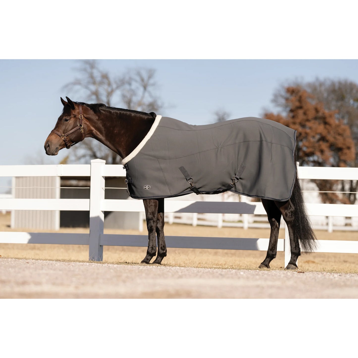 Professional's Choice Softshell Cooler Sheet - Breathable Moisture-Wicking Horse Sheet - Multiple Sizes