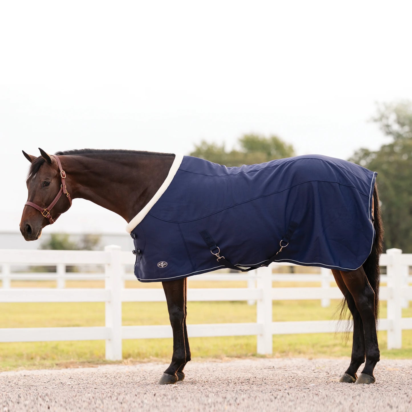 Professional's Choice Softshell Cooler Sheet - Breathable Moisture-Wicking Horse Sheet - Multiple Sizes