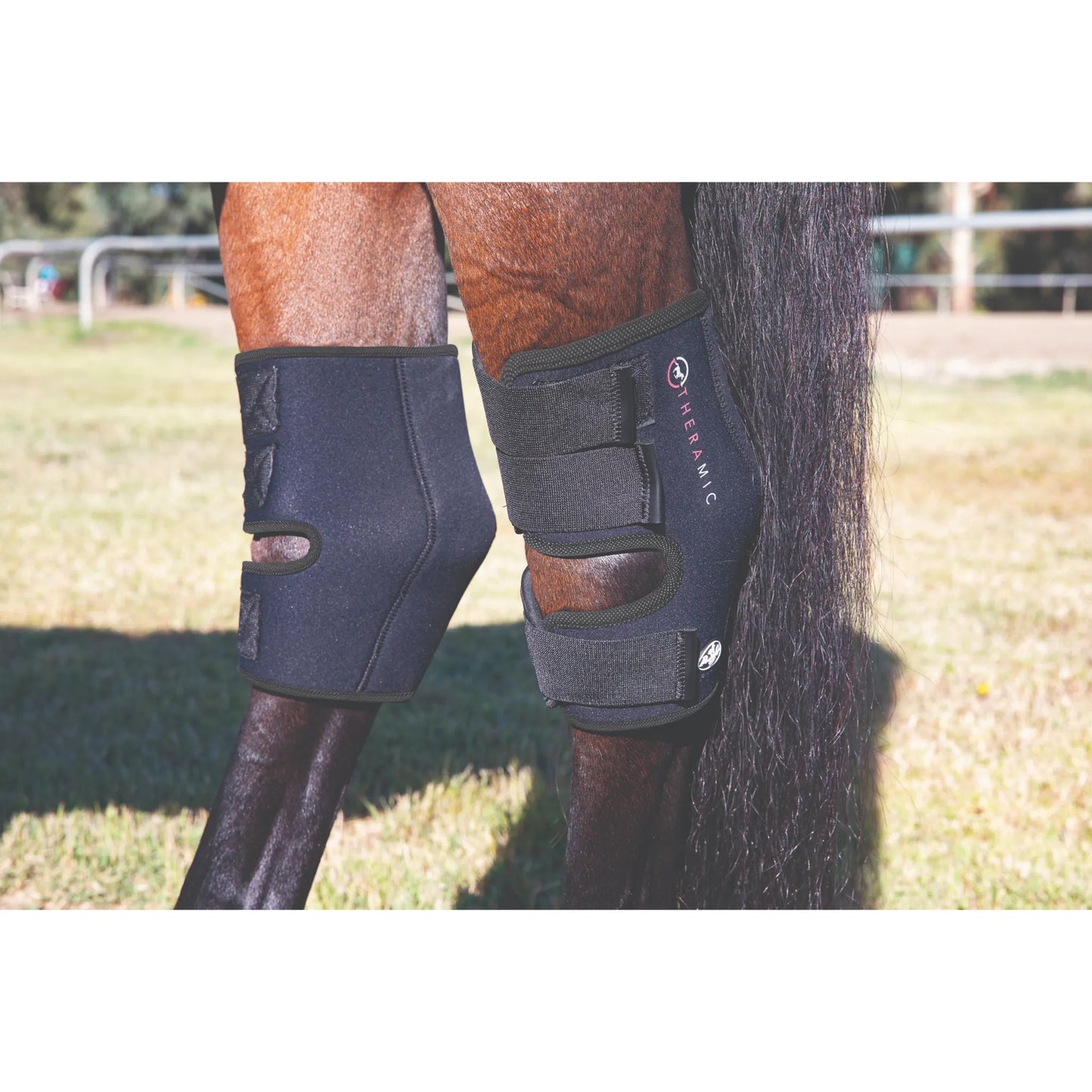 Professional's Choice Theramic Hock Boots in Black and Charcoal shown on the hind legs of a bay horse. These therapeutic hock boots feature a contoured design with multiple adjustable velcro straps for a secure fit. Ideal for equestrian performance and recovery, the ceramic-infused material provides targeted heat therapy and joint support for horses.