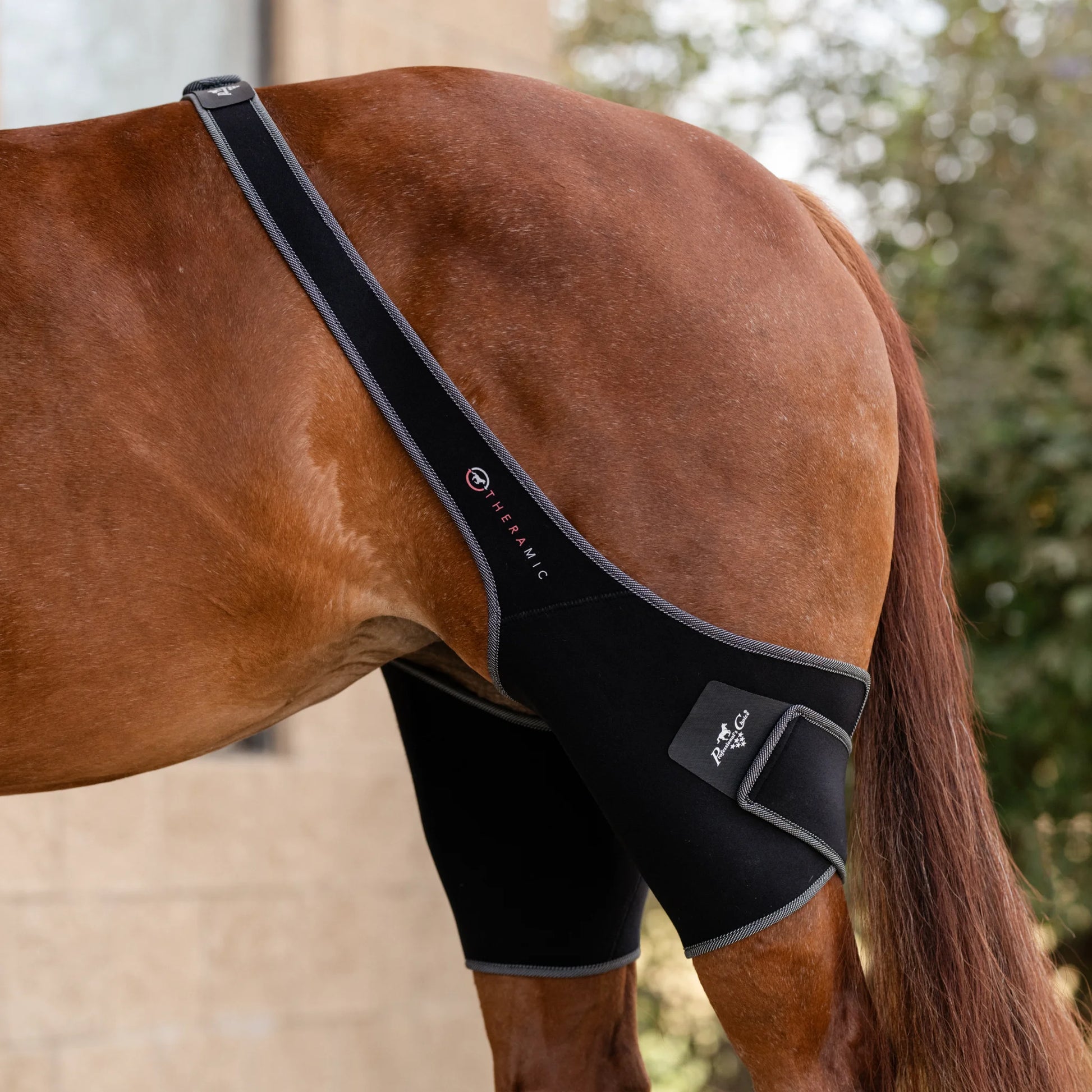 Professional's Choice Theramic Stifle Wrap - Therapeutic Ceramic Recovery Pair for Horses