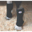 Professional's Choice Bed Sore Boots in black provide essential fetlock protection for horses prone to sores and rubs. This pair of durable, cushioned boots is shown on a horse standing in soft wood shaving bedding. Designed to prevent injury while laying down, these standard-sized equine boots feature a secure wrap-around fit and the signature white brand logo. Perfect for stall-bound horses needing extra leg protection and comfort.