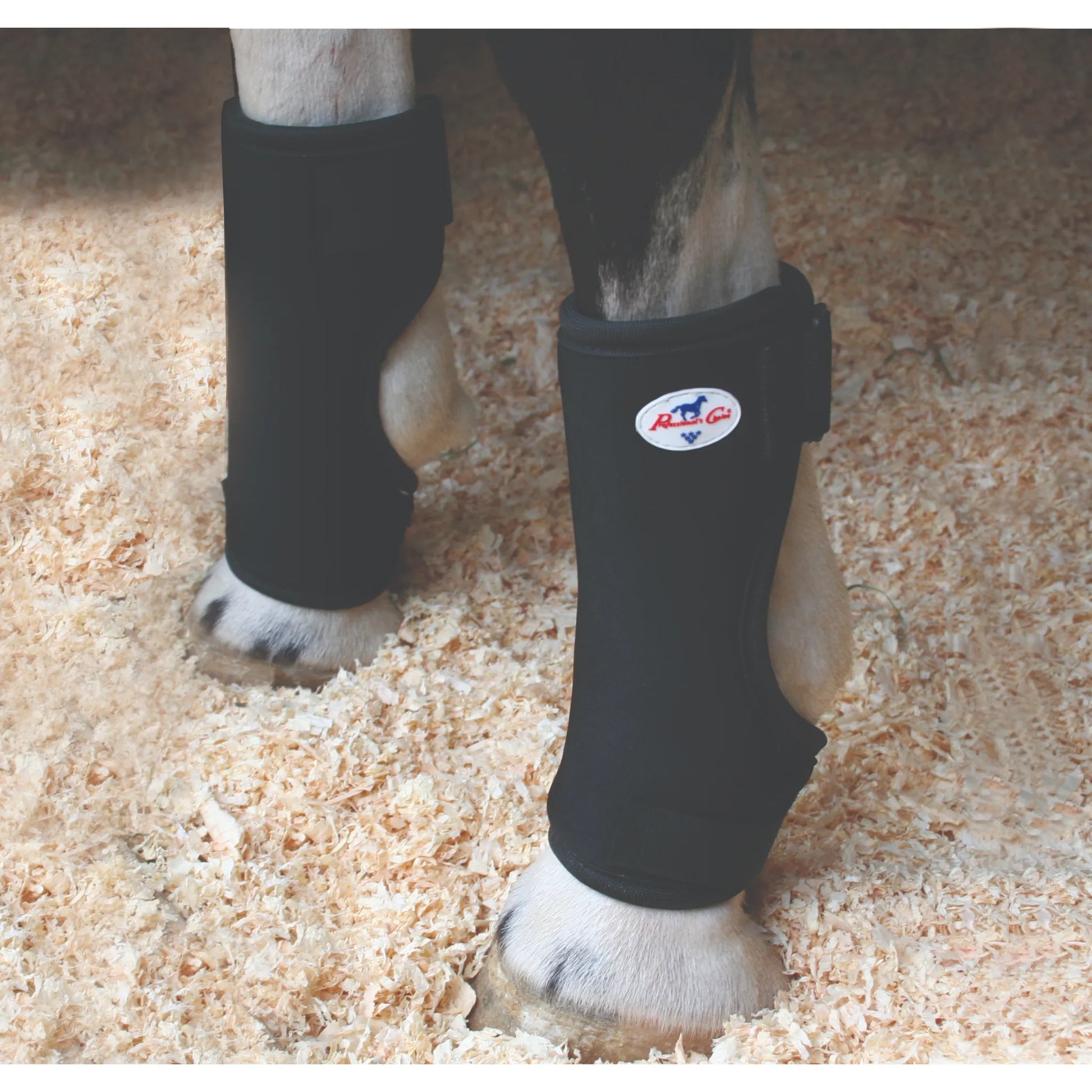 Professional's Choice Bed Sore Boots in black provide essential fetlock protection for horses prone to sores and rubs. This pair of durable, cushioned boots is shown on a horse standing in soft wood shaving bedding. Designed to prevent injury while laying down, these standard-sized equine boots feature a secure wrap-around fit and the signature white brand logo. Perfect for stall-bound horses needing extra leg protection and comfort.