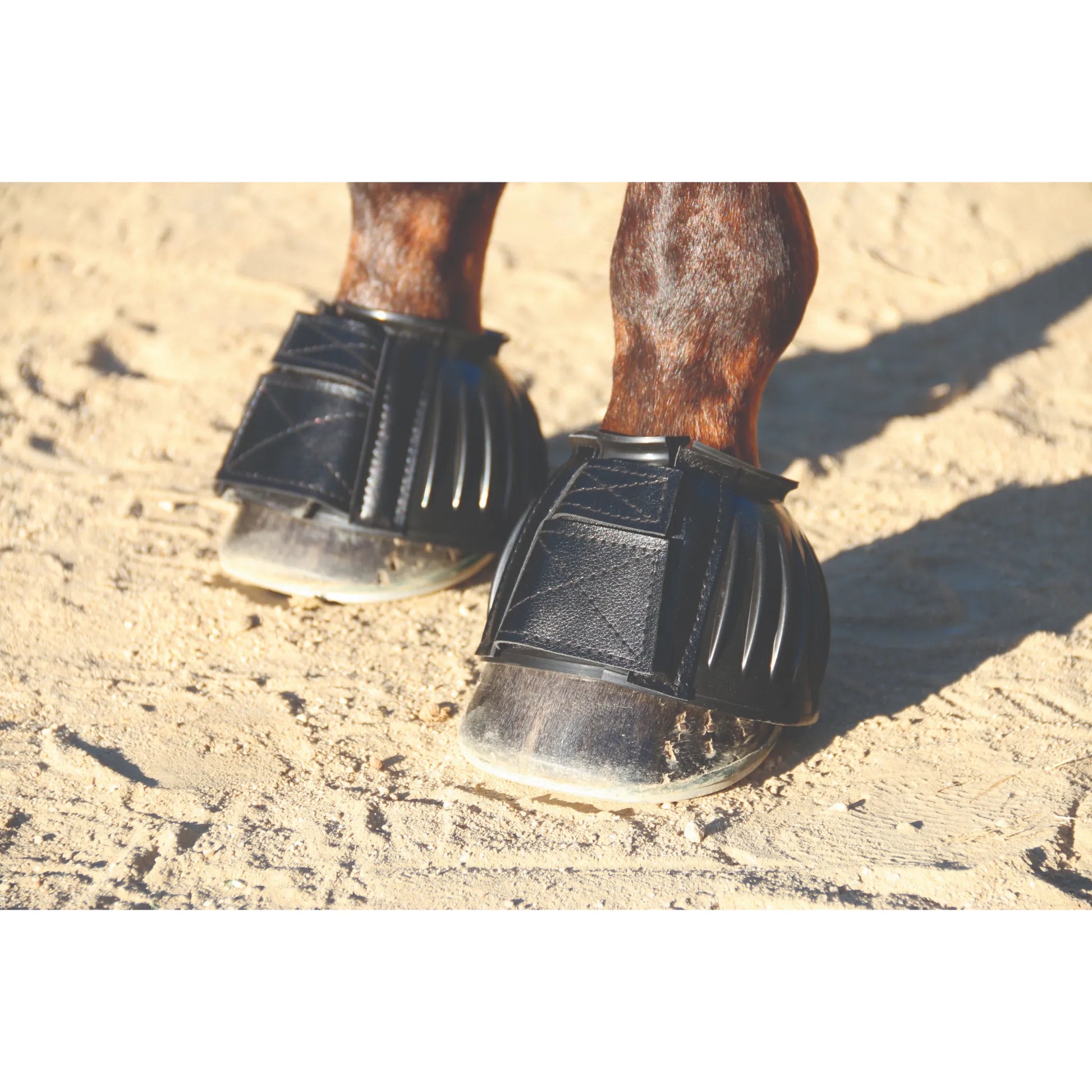 Professional’s Choice Bell Boot Rubber Open in black, shown on a horse's hooves. These durable ribbed rubber horse boots provide essential overreach protection for the heels. Featuring a secure hook and loop closure for an adjustable fit, they are perfect for daily training, jumping, or turnout to prevent injuries and lost shoes. High-quality equestrian gear for ultimate hoof protection and performance.