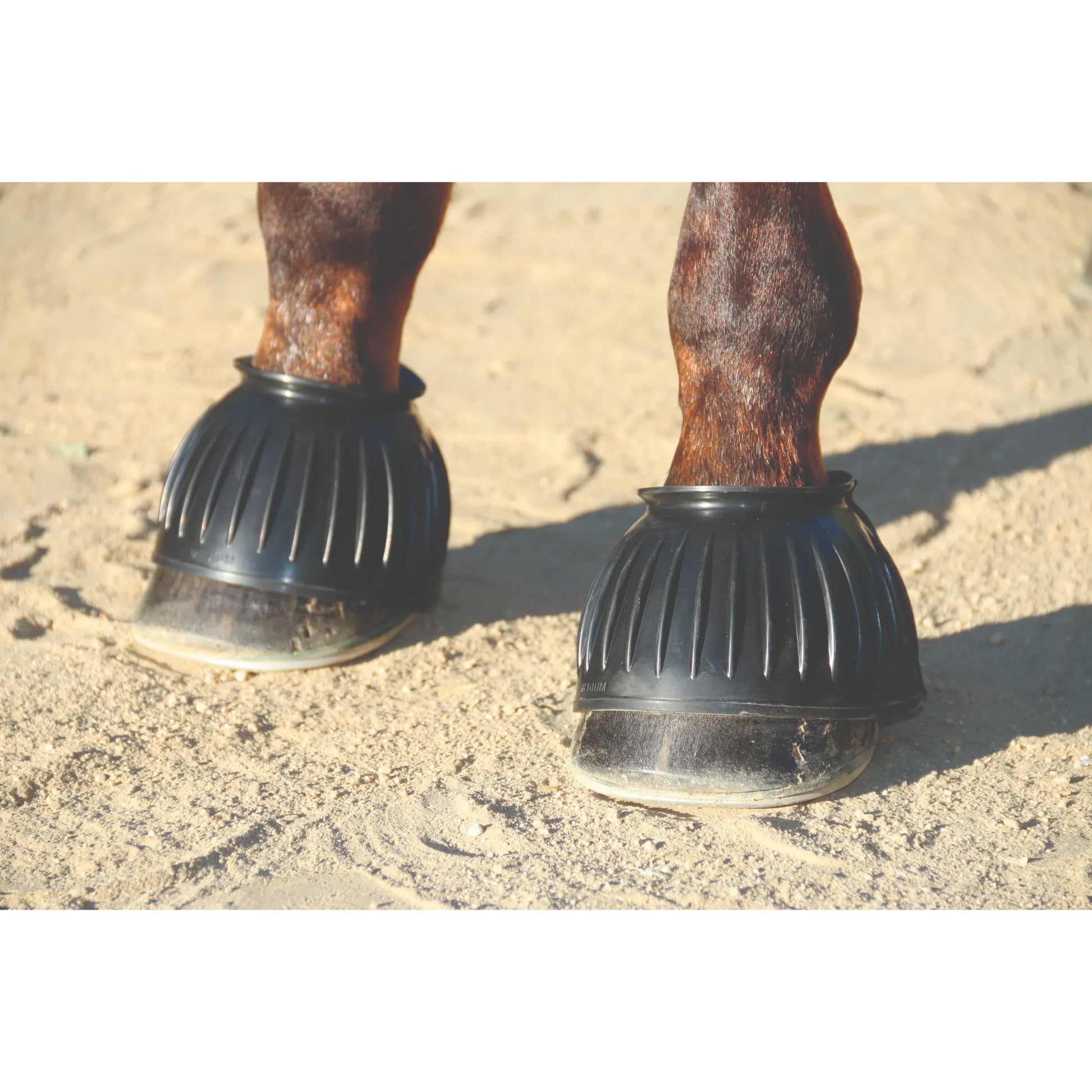 Professional's Choice black ribbed rubber bell boots on a horse's hooves for superior overreach protection. These heavy-duty black horse bell boots feature a classic ribbed design to prevent injuries to the hoof wall and coronet band. Ideal for turnout, training, or competition, these durable rubber boots provide a secure fit on a chestnut horse standing in a sandy arena. Essential equestrian gear for daily horse care and performance safety.