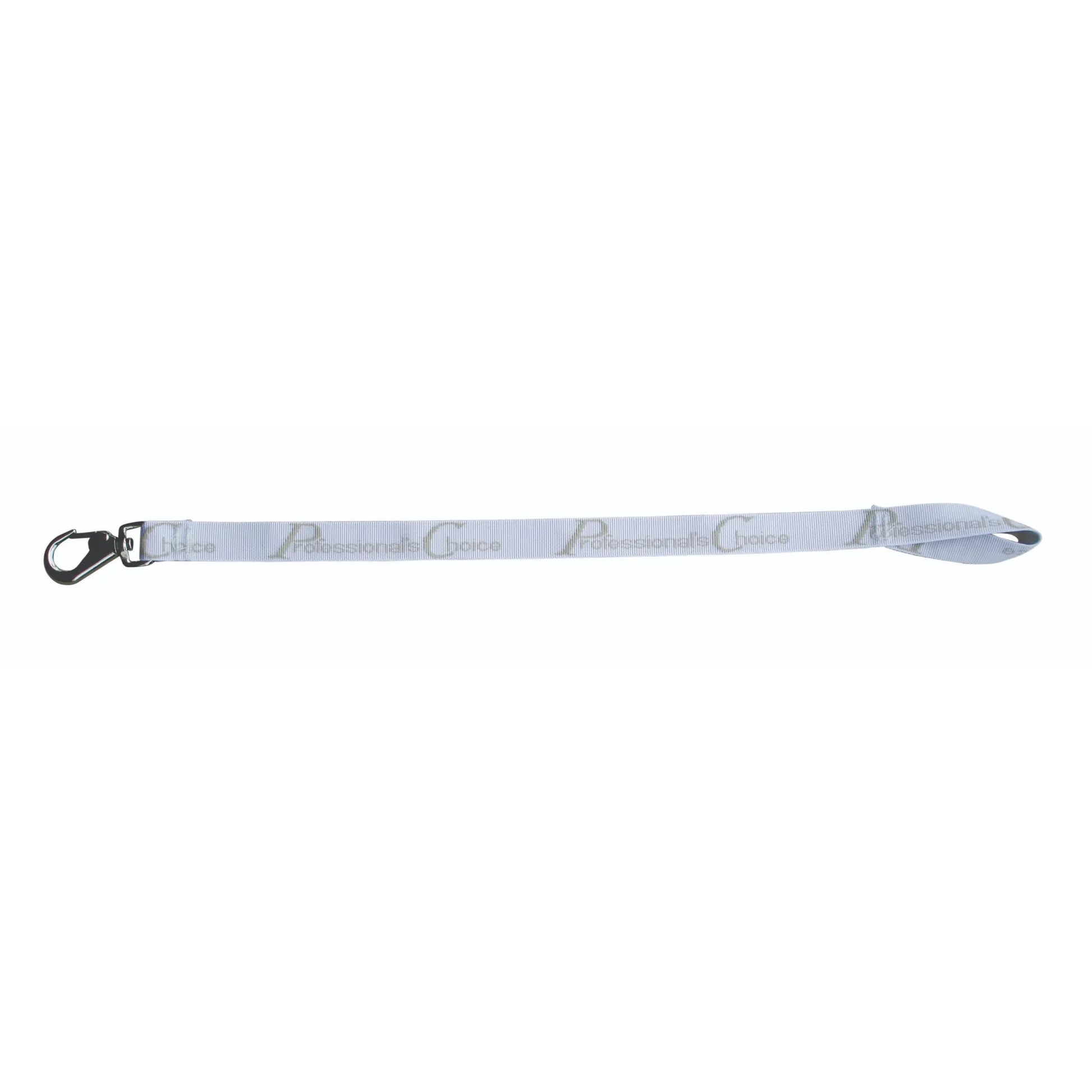 Professional's Choice Silver Bucket Strap featuring a durable nylon design with a sturdy metal trigger snap hook and a looped handle. This versatile equestrian accessory is perfect for securely hanging water and feed buckets in horse stalls, trailers, or at shows. The strap is decorated with the Professional's Choice logo, making it a stylish and practical addition to any horse grooming kit.