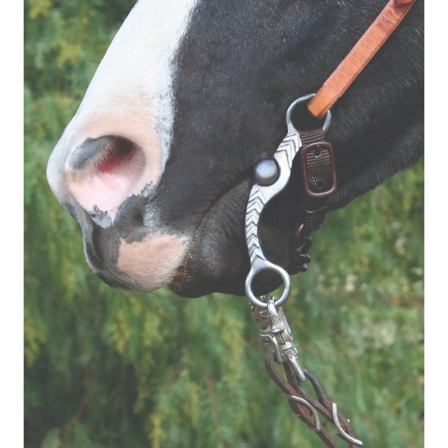 Professionals Choice Correction Bit shown on a horse, featuring elegant silver engraved shanks with a chevron design. This western training bit includes a leather curb strap and bridle attachments for enhanced control and comfort. Perfect for riders seeking precision, this high-quality horse tack is designed for effective communication. Ideal for western disciplines and advanced horse training, combining professional performance with a decorative aesthetic.