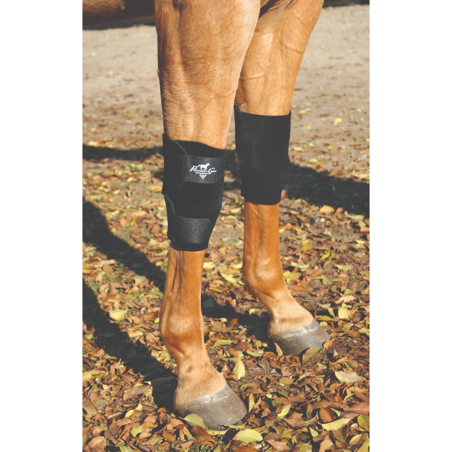 Professional’s Choice Equine Knee Boots in black, designed for superior leg protection. These durable neoprene knee boots for horses feature secure hook-and-loop closures and a contoured design to prevent slipping. Essential horse protective gear for injury prevention during training or trailering, shown on a chestnut horse's front legs in an outdoor setting.