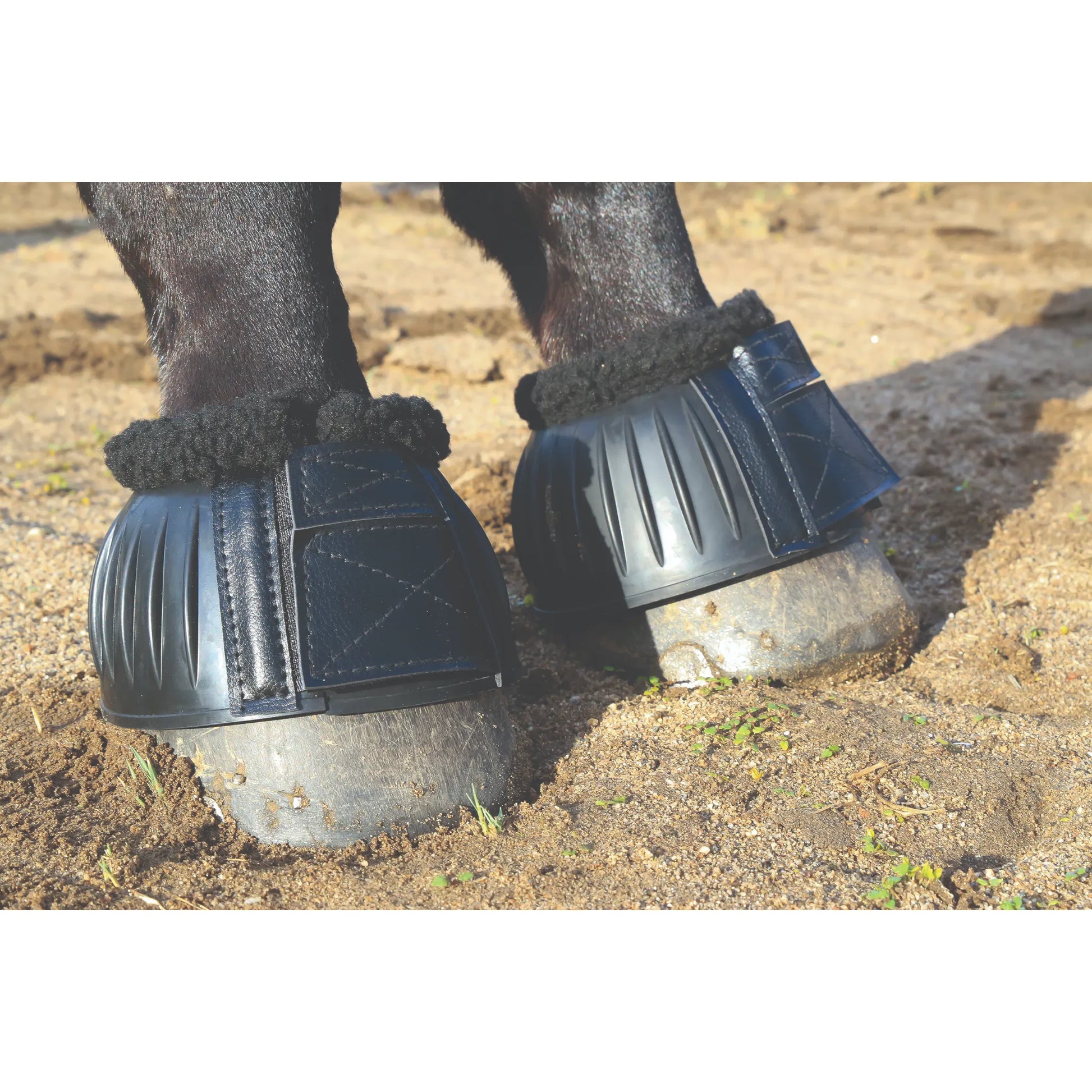 Black Professional’s Choice Fleece Open Bell Boots on a horse's hooves. Featuring a durable ribbed outer shell and plush black fleece trim to prevent chafing, these equestrian overreach boots offer superior hoof protection. The secure double-stitched hook-and-loop closure ensures a reliable fit during riding or turnout. High-quality horse gear designed for comfort and injury prevention in the arena or stable.
