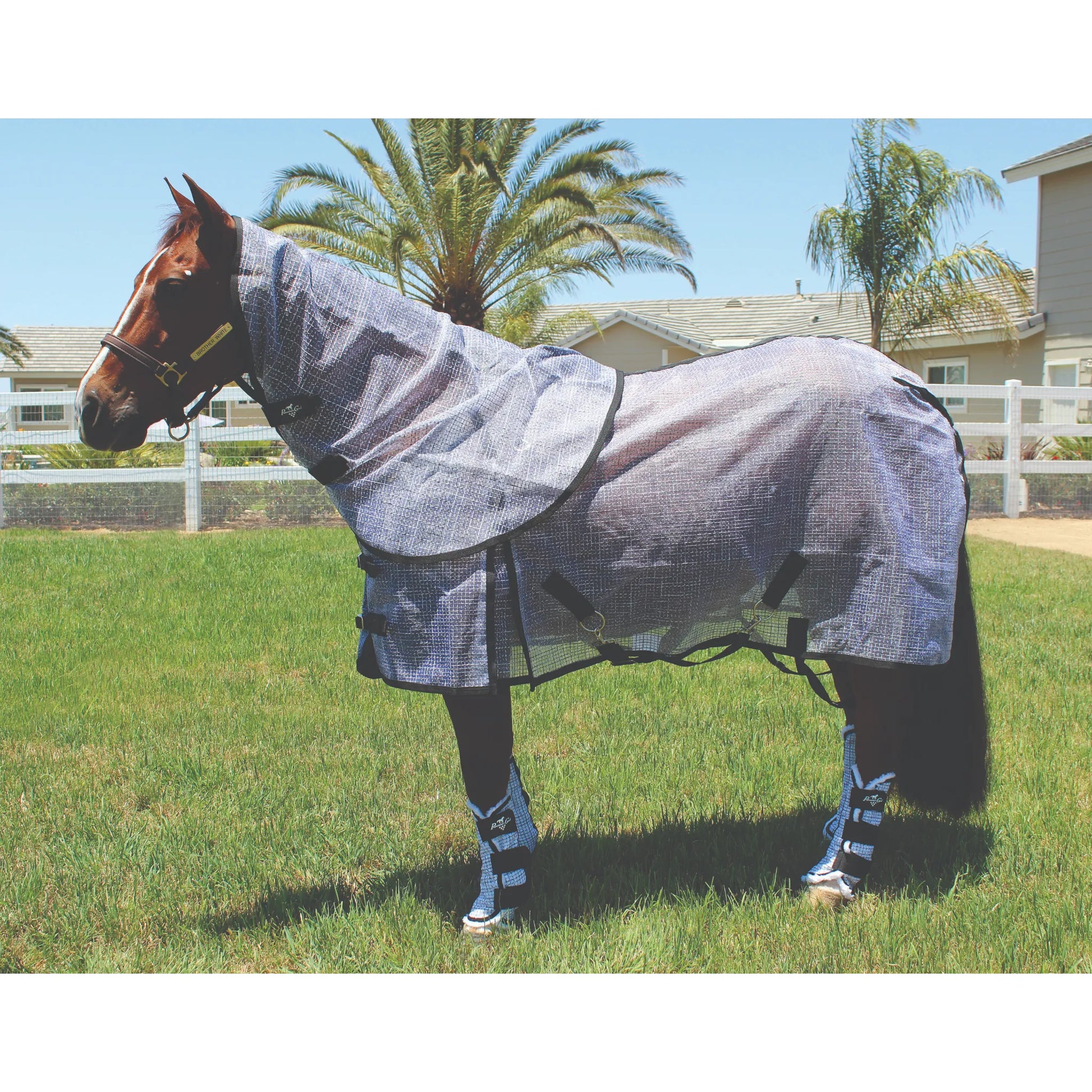 Professional's Choice Fly Neck Cover in silver mesh with black trim, shown on a bay horse with a matching fly sheet and fly boots. This full-coverage equine fly protection set shields against biting insects and harmful UV rays during summer turnout. The breathable, lightweight mesh design ensures maximum comfort and durability for your horse. Perfect for comprehensive protection from the neck to the legs while maintaining airflow in hot weather.