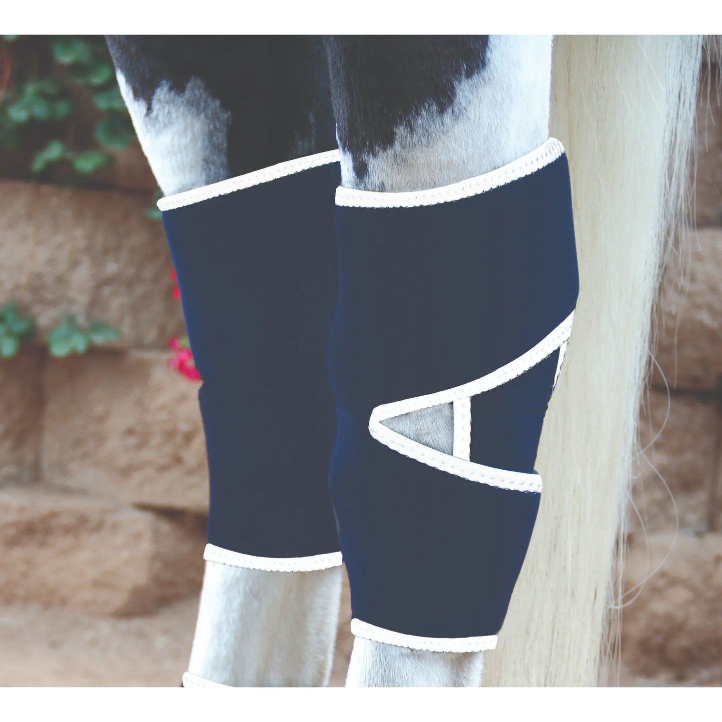 Professional's Choice Magnetic Hock Boots in black with white trim, shown on a pinto horse's hind legs. These therapeutic horse boots are designed to relieve hock pain and stiffness through targeted magnetic therapy. Featuring an ergonomic wrap design for a secure fit, these hock boots help increase circulation and reduce inflammation, making them ideal for equine recovery, joint support, and overall horse wellness.