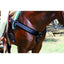 Professional's Choice Neoprene Breast Collar in black, showcased on a bay horse. This high-performance western tack features durable nylon webbing, a non-slip neoprene lining, and stainless steel hardware for a secure fit. Designed to prevent saddle slippage, this equestrian accessory is perfect for trail riding, ranch work, and competition. Elevate your horse's comfort and style with this essential piece of western horse gear.