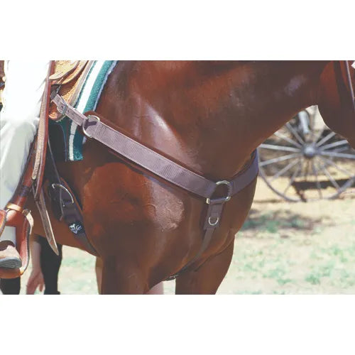 Professionals Choice Neoprene Breast Collar on a chestnut horse, showcasing the durable chocolate brown webbing and non-slip neoprene lining. Designed for comfort and stability, this Western horse breastplate features reinforced stitching and stainless steel hardware. Perfect for trail riding or performance sports, it prevents saddle slippage while protecting the horse's skin from chafing. High-quality equestrian tack for Western riders.