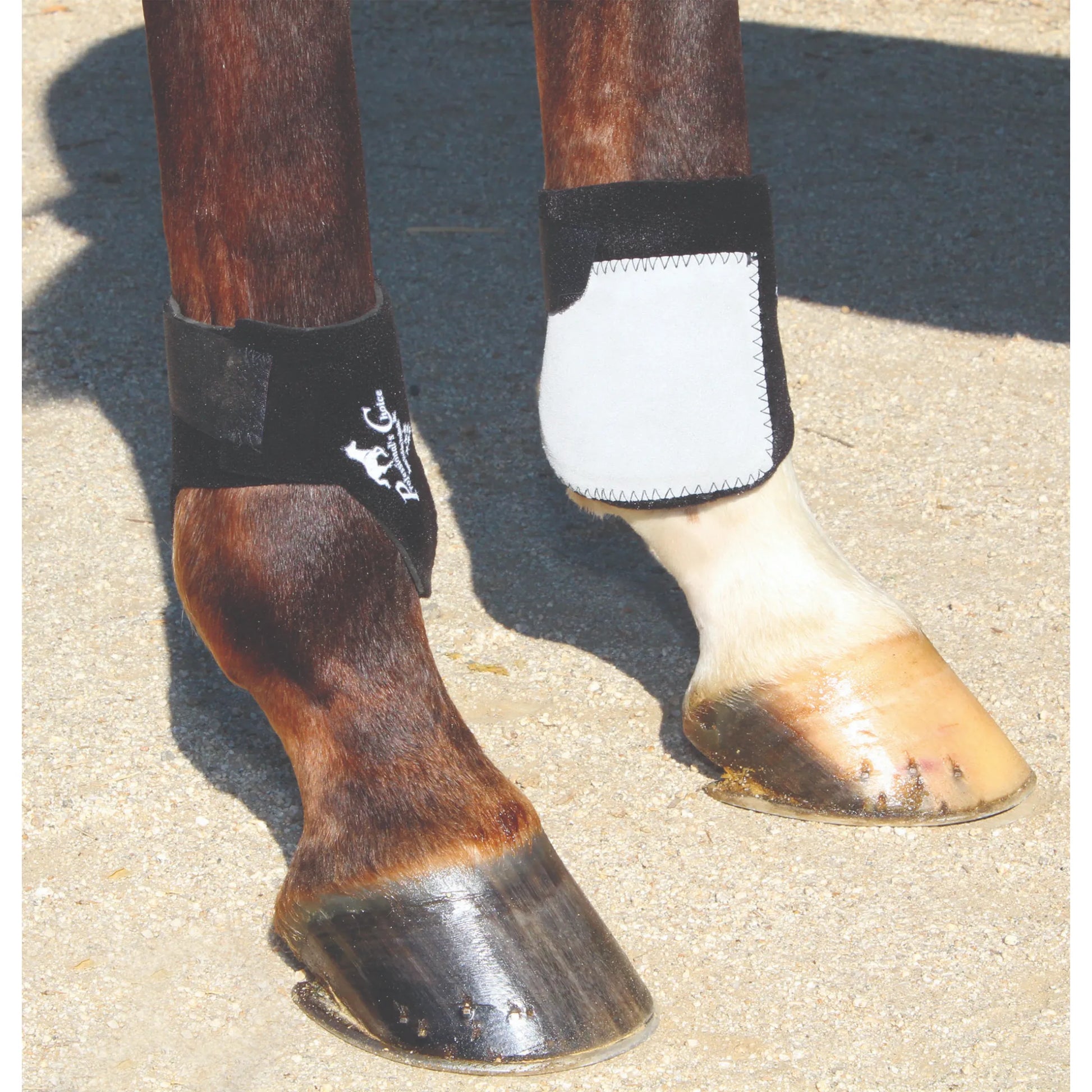 Professional's Choice Rear Ankle Boots in black, featuring a durable white strike pad for high-impact fetlock protection. Shown on a horse's rear legs, these one-size protective boots offer a secure, contoured fit to prevent interference injuries. Ideal for daily schooling or performance, these high-quality neoprene horse boots provide essential support and safety for equestrian athletes.