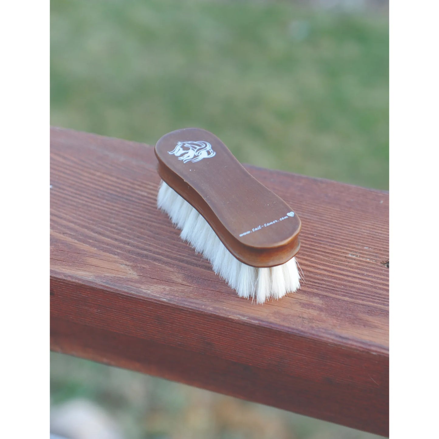 Professional’s Choice Small Wooden Goat Hair Brush for gentle horse grooming. This premium finishing brush features soft, dense white goat hair bristles and a contoured dark brown wood handle with a white horse head logo. Perfect for sensitive areas like a horse's face and ears. A must-have equestrian tool for a polished show-ring shine, shown resting on a rustic outdoor wooden fence.