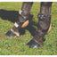 Professional's Choice Leather Skid Boots in rich brown, designed for ultimate fetlock protection during sliding stops. These performance horse boots feature durable leather construction with tan padded strike plates and secure adjustable straps. Shown on a horse's hind legs, these protective boots are essential for reining and western performance. High-quality equine gear for training and competition to keep your horse safe and stylish.