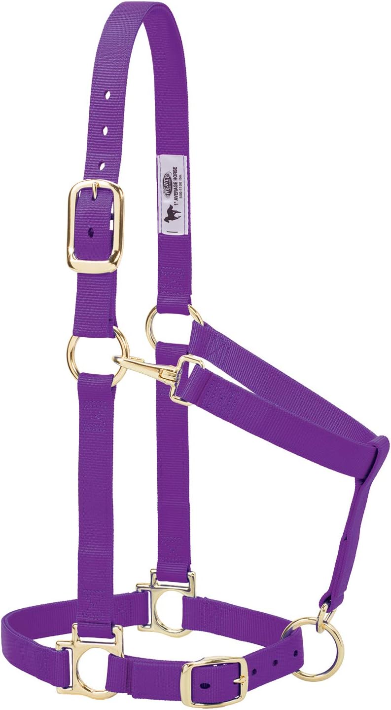 Weaver Leather Basic Adjustable Average Padded Nylon Halter - Adjustable Crown & Chin