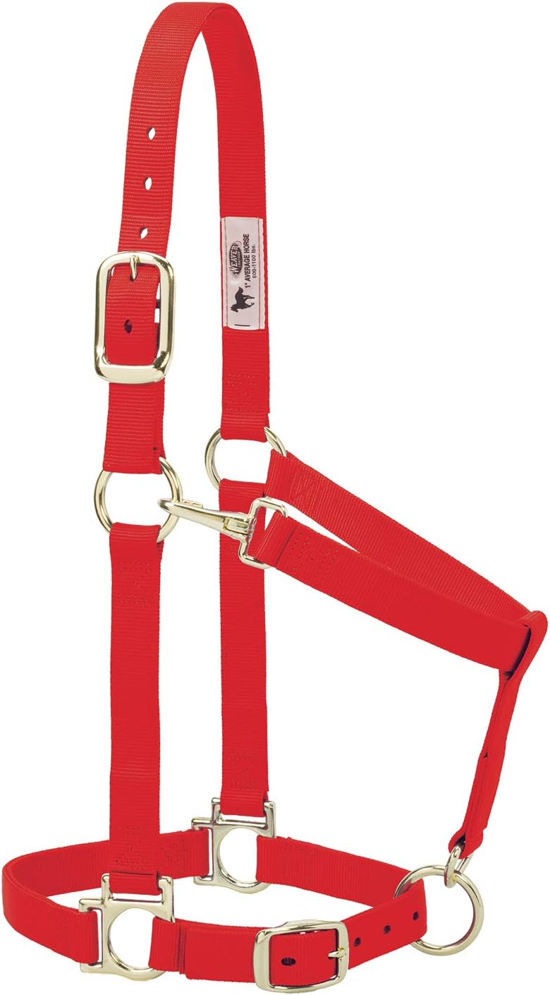 Weaver Leather Basic Adjustable Average Padded Nylon Halter - Adjustable Crown & Chin