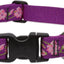 LupinePet Dog Collar: Lifetime Guarantee, Adjustable, & Stylish Designs