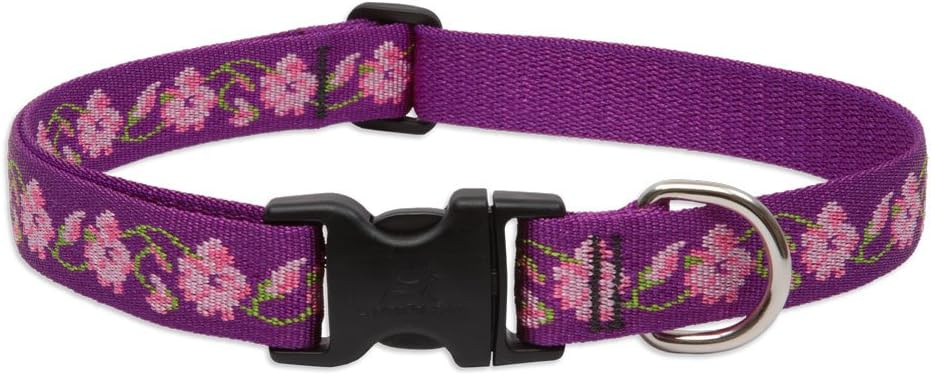 LupinePet Dog Collar: Lifetime Guarantee, Adjustable, & Stylish Designs