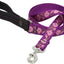 Dog Leash Lupine Pet Lifetime 6 Foot Lead 3/4" or 1" Puppy Original Designs