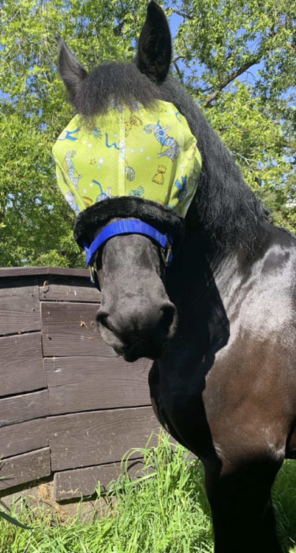 Mackey Standard Fly Mask – 73% UV, Fleece Trim, No Ears