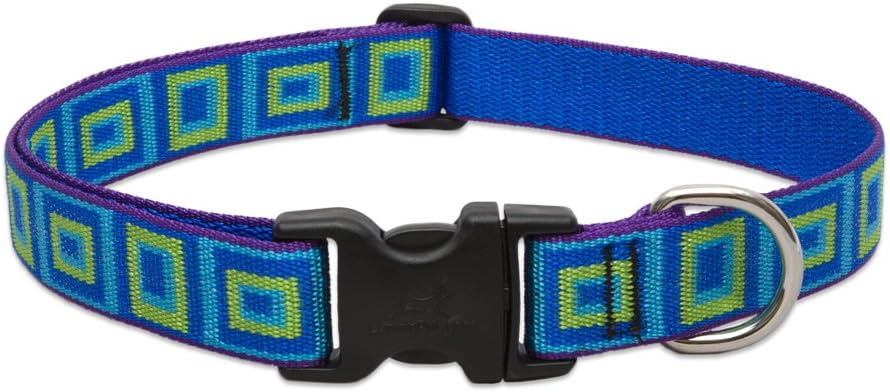 LupinePet Dog Collar: Lifetime Guarantee, Adjustable, & Stylish Designs