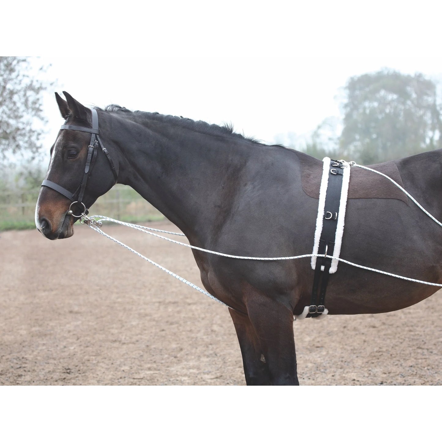 Shires ARMA Horse Lunging Aid Training System for Muscle Development - Black, One Size