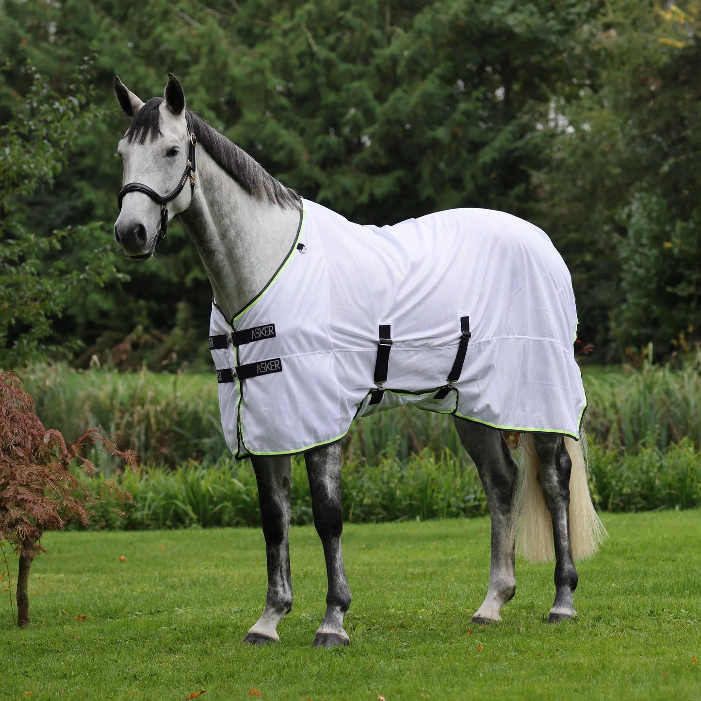 Shires Asker Fly Sheet - White Breathable Mesh Horse Fly Protection - Multiple Sizes
