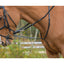 Shires Avignon German Martingale - Premium Leather Horse Training Aid with Reins
