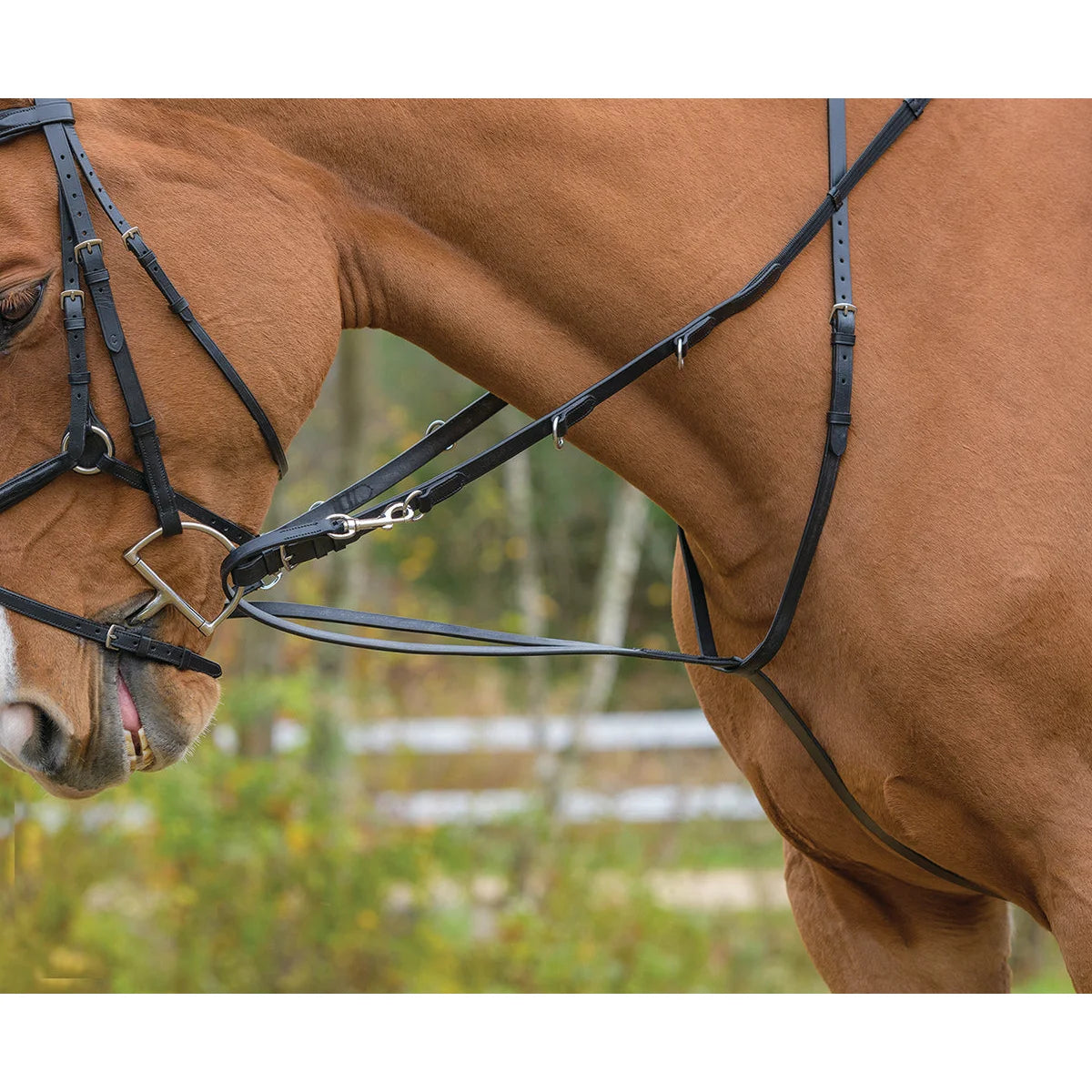 Shires Avignon German Martingale - Premium Leather Horse Training Aid with Reins