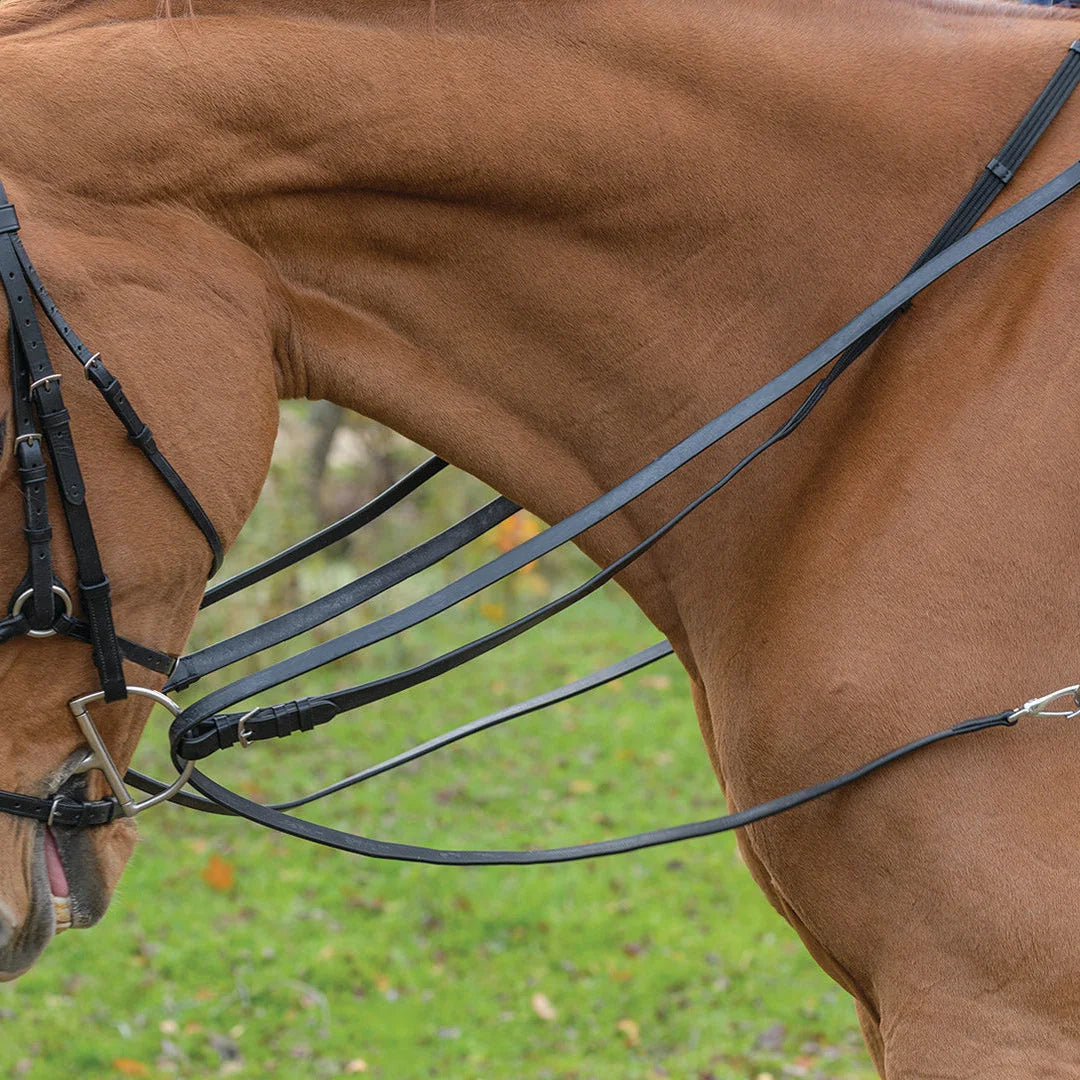 Shires Avignon Leather Draw Reins - Premium Quality Training Aid for Improved Horse Collection and Flexion