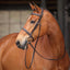 Shires Avignon Ocala Bridle - Premium Leather Equestrian Horse Bridle for Competition and Training