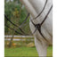 Shires Avignon Three Point Breastplate - Premium Leather Adjustable Equestrian Horse Breastplate