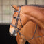 Shires Avignon Wellington Bridle - Premium Leather Equestrian Horse Bridle