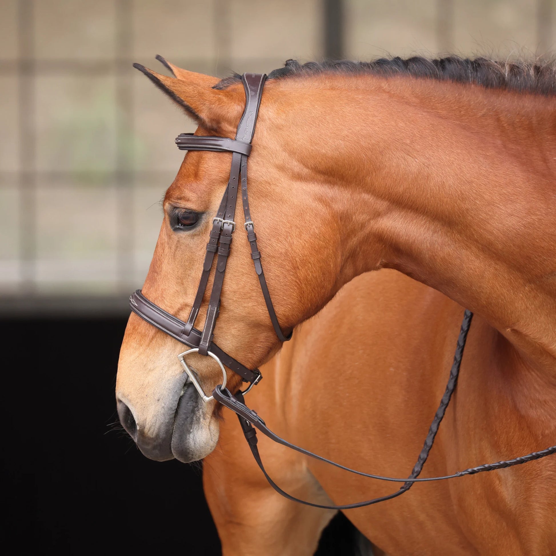 Shires Avignon Wellington Bridle - Premium Leather Equestrian Horse Bridle