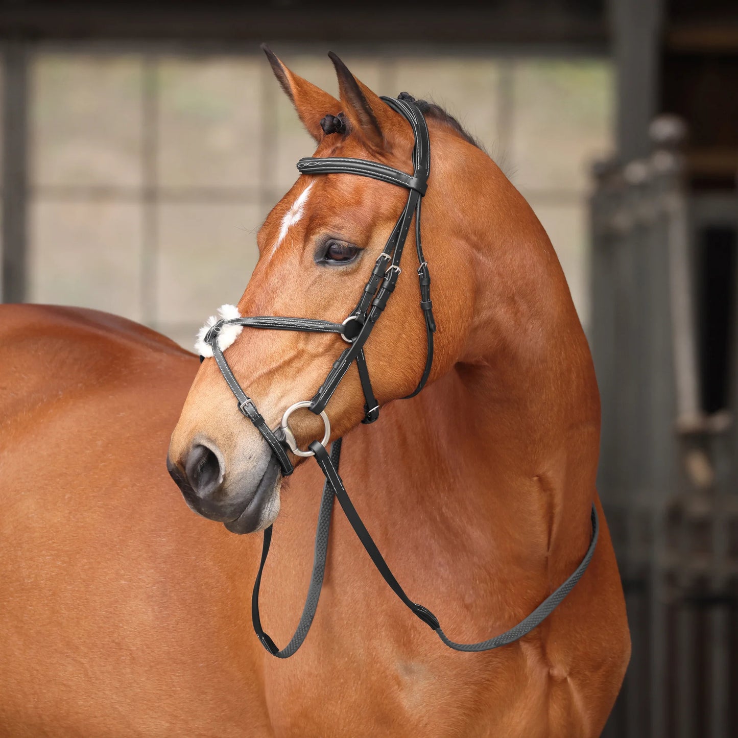 Shires Avignon Woodside Bridle - Premium Leather English Equestrian Horse Bridle