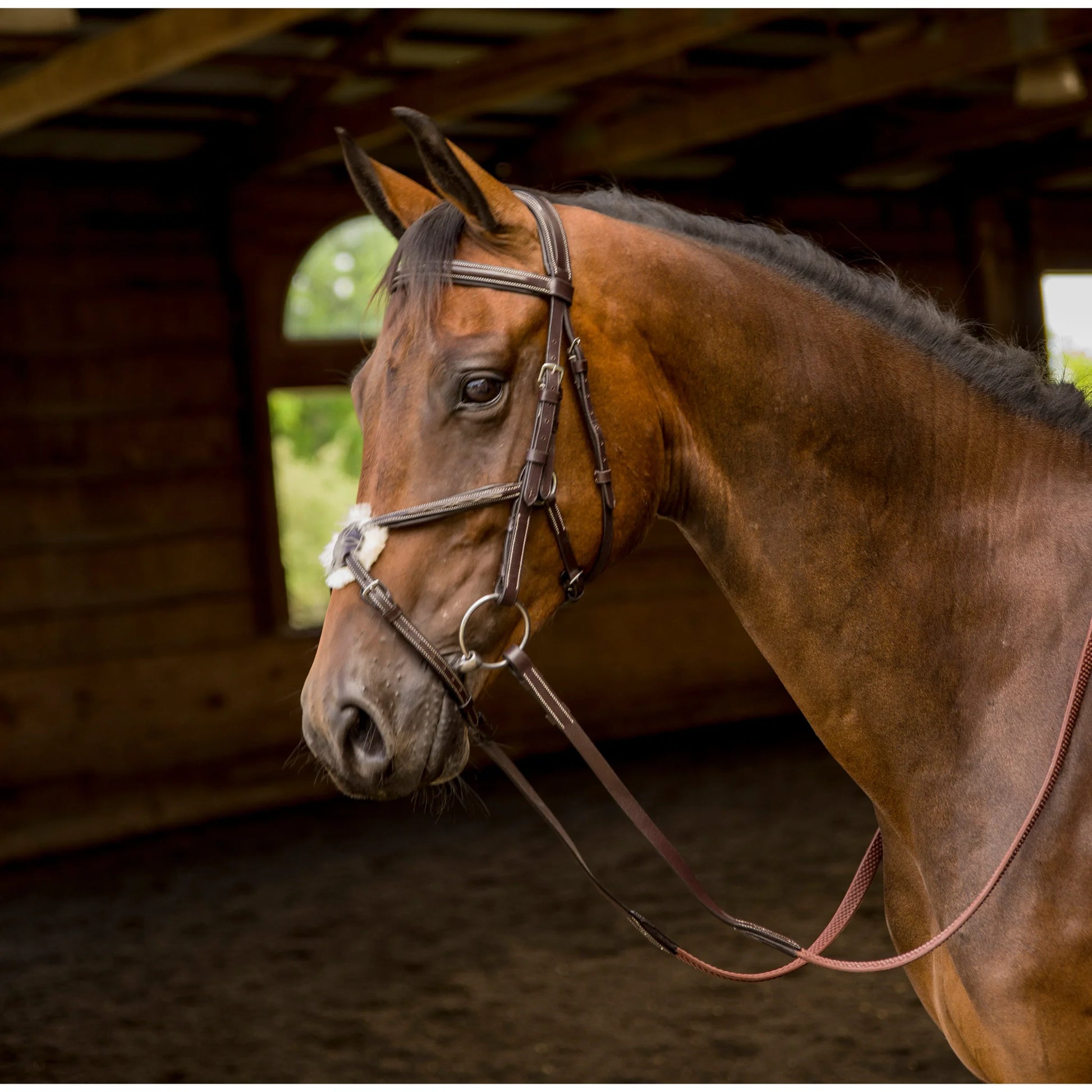 Shires Avignon Woodside Bridle - Premium Leather English Equestrian Horse Bridle