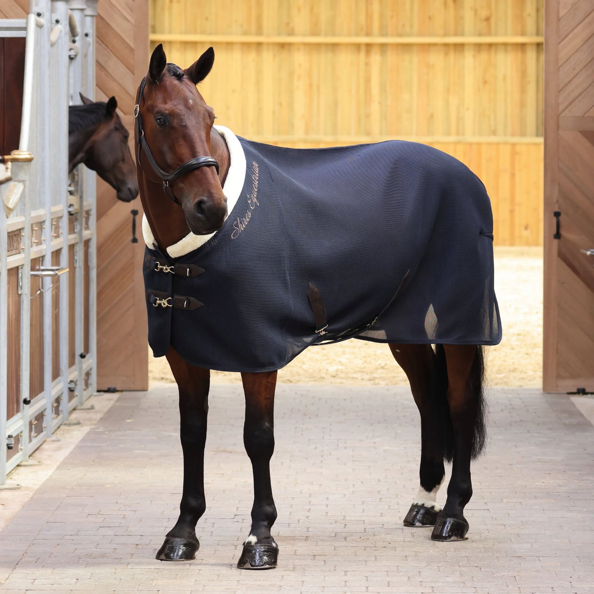 Shires Deluxe Air Motion Cooler - High Performance Breathable Moisture Wicking Horse Rug